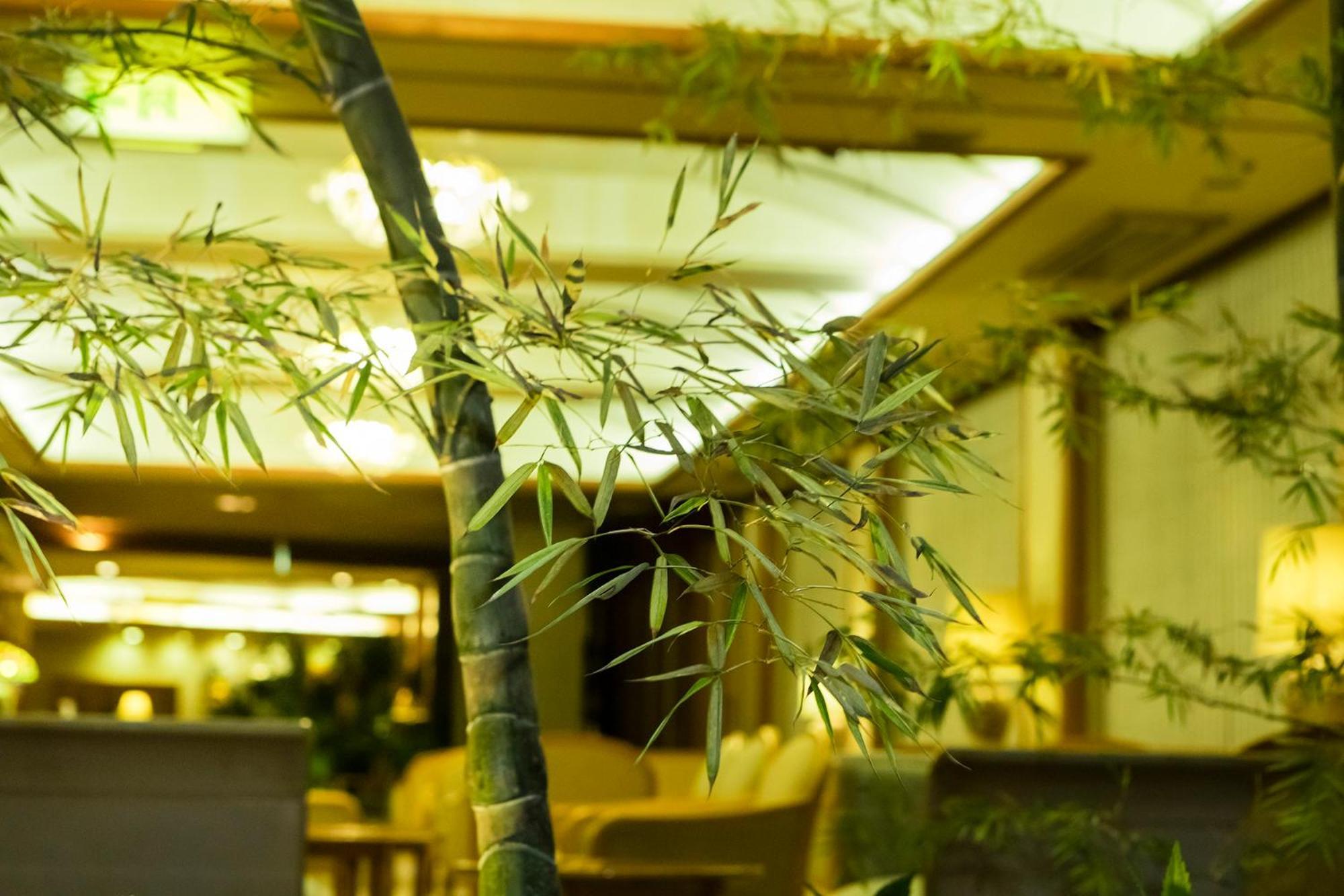 Hakone Yumoto Onsen Hotel Kajikaso Exterior photo